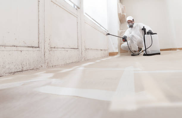 24/7 Emergency Black Mold Remediation experts in Weston, FL